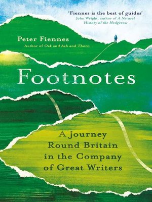 cover image of Footnotes